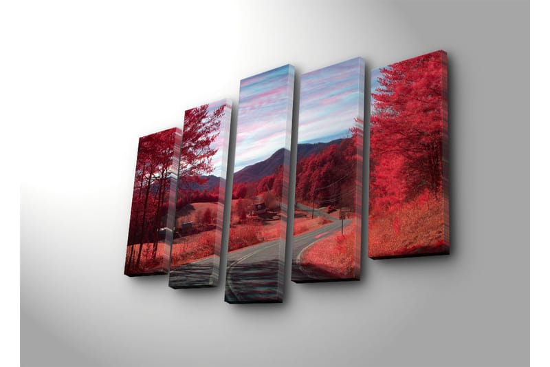 Dekorativ Canvasbilde 5 Deler - Flerfarget - Innredning - Bilder & kunst - Lerretsbilder