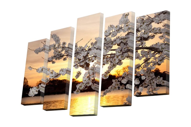 Dekorativ Canvasbilde 5 Deler - Flerfarget - Innredning - Bilder & kunst - Lerretsbilder