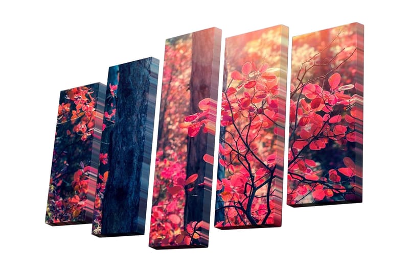 Dekorativ Canvasbilde 5 Deler - Flerfarget - Innredning - Bilder & kunst - Lerretsbilder