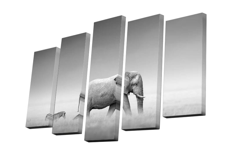 Dekorativ Canvasbilde 5 Deler - Flerfarget - Innredning - Bilder & kunst - Lerretsbilder