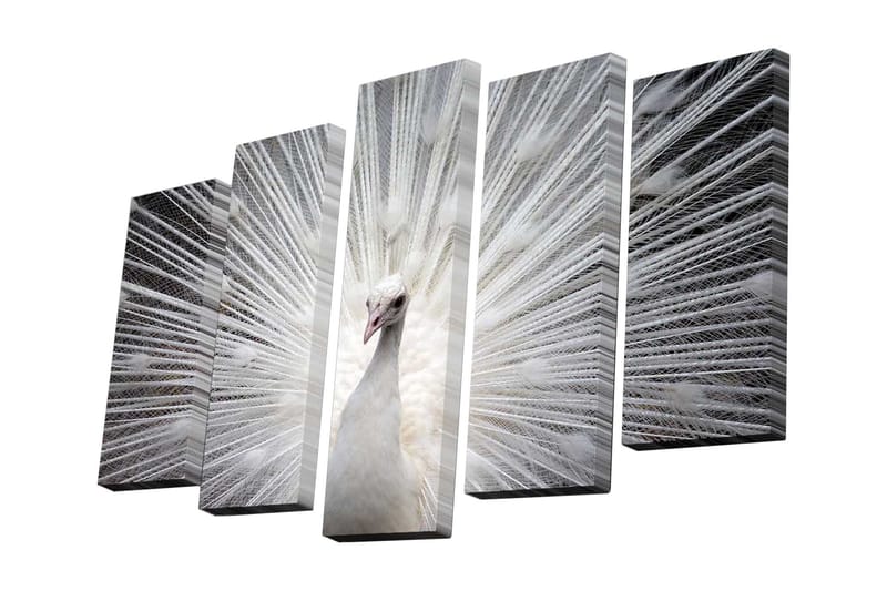 Dekorativ Canvasbilde 5 Deler - Flerfarget - Innredning - Bilder & kunst - Lerretsbilder