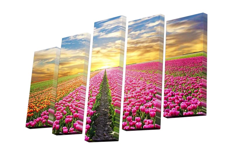Dekorativ Canvasbilde 5 Deler - Flerfarget - Innredning - Bilder & kunst - Lerretsbilder