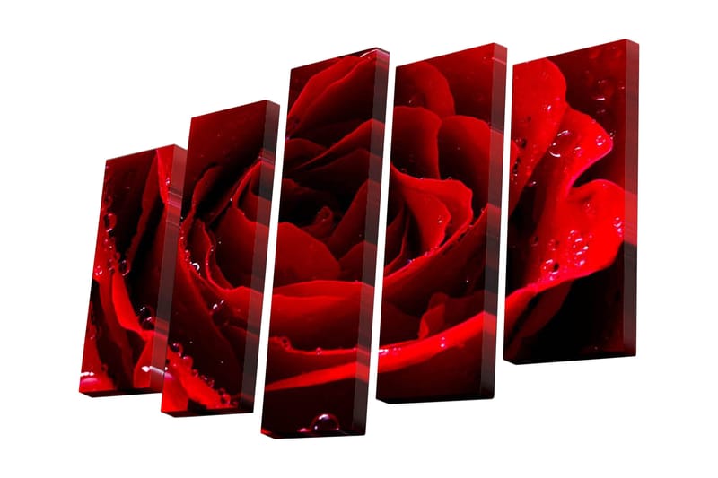 Dekorativ Canvasbilde 5 Deler - Flerfarget - Innredning - Bilder & kunst - Lerretsbilder