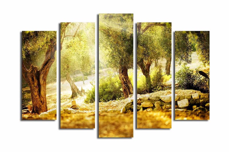 Dekorativ Canvasbilde 5 Deler - Flerfarget - Innredning - Bilder & kunst - Lerretsbilder