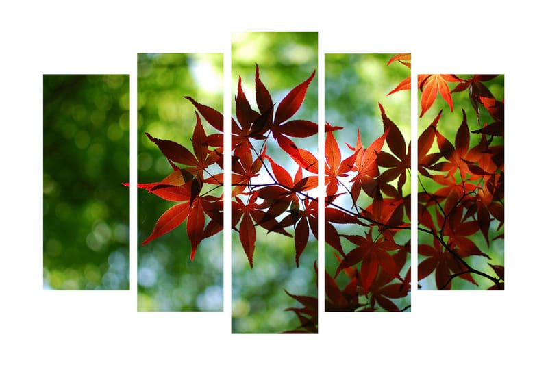 Dekorativ Canvasbilde 5 Deler - Flerfarget - Innredning - Bilder & kunst - Lerretsbilder