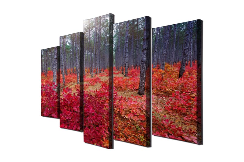 Dekorativ Canvasbilde 5 Deler - Flerfarget - Innredning - Bilder & kunst - Lerretsbilder