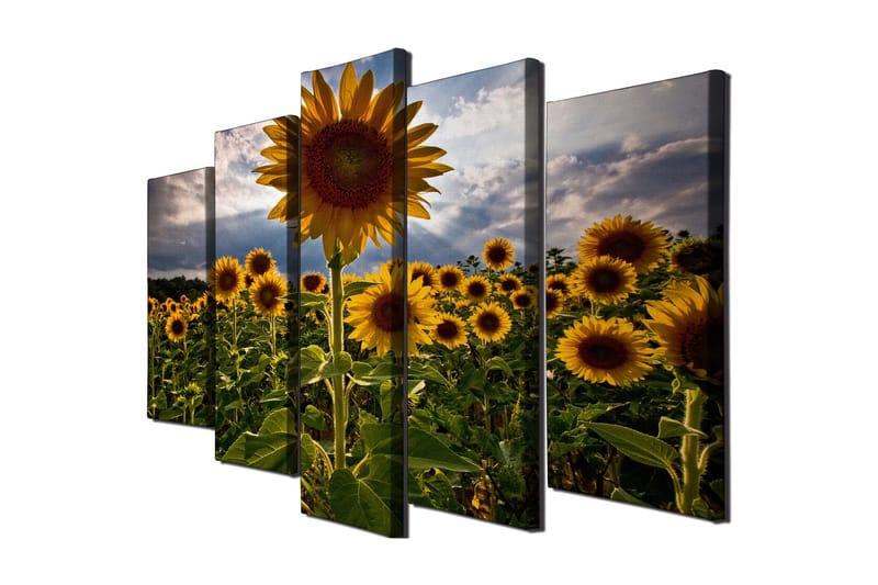 Dekorativ Canvasbilde 5 Deler - Flerfarget - Innredning - Bilder & kunst - Lerretsbilder
