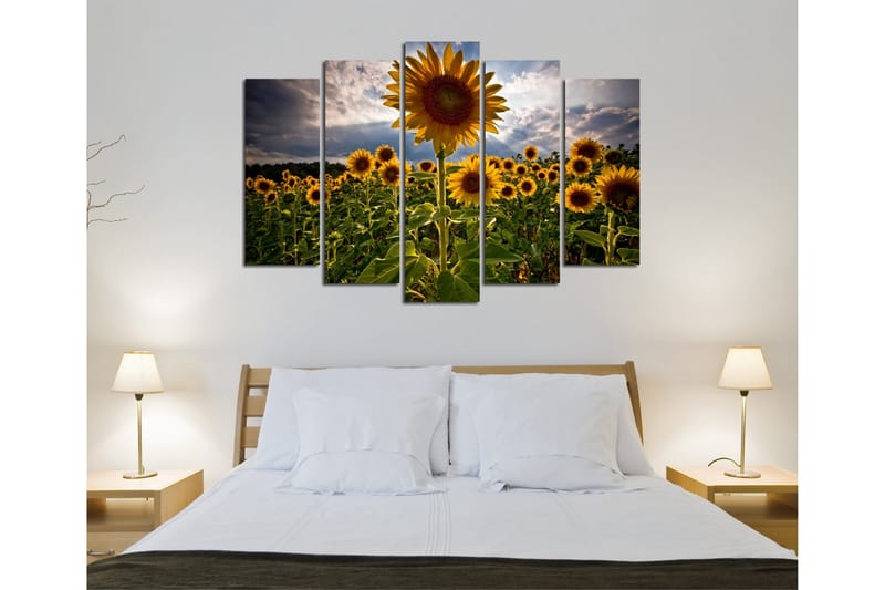 Dekorativ Canvasbilde 5 Deler - Flerfarget - Innredning - Bilder & kunst - Lerretsbilder
