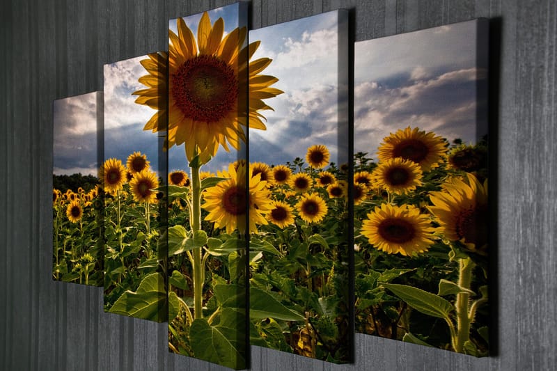 Dekorativ Canvasbilde 5 Deler - Flerfarget - Innredning - Bilder & kunst - Lerretsbilder