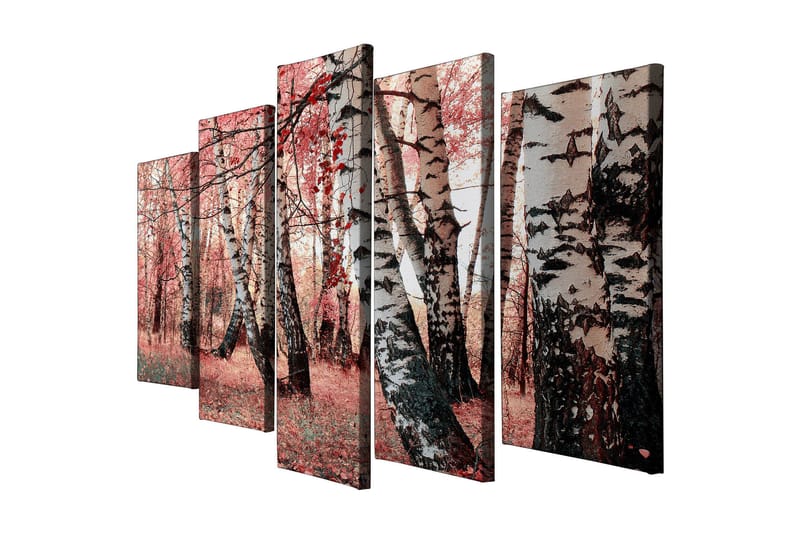 Dekorativ Canvasbilde 5 Deler - Flerfarget - Innredning - Bilder & kunst - Lerretsbilder