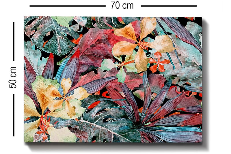 Dekorativ Canvasbilde 50x70 cm - Flerfarget - Innredning - Bilder & kunst - Lerretsbilder