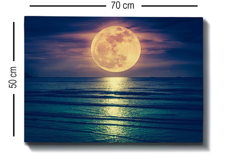 Dekorativ Canvasbilde 50x70 cm - Flerfarget - Innredning - Bilder & kunst - Lerretsbilder