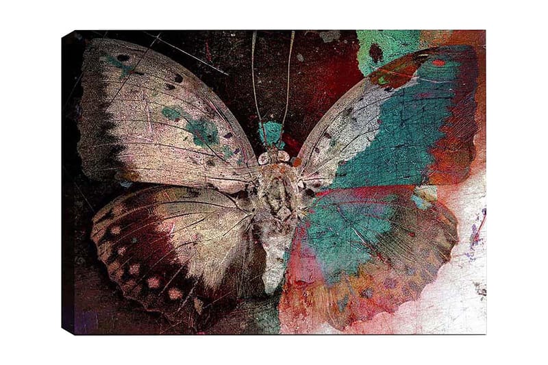 Dekorativ Canvasbilde 50x70 cm, Flerfarget