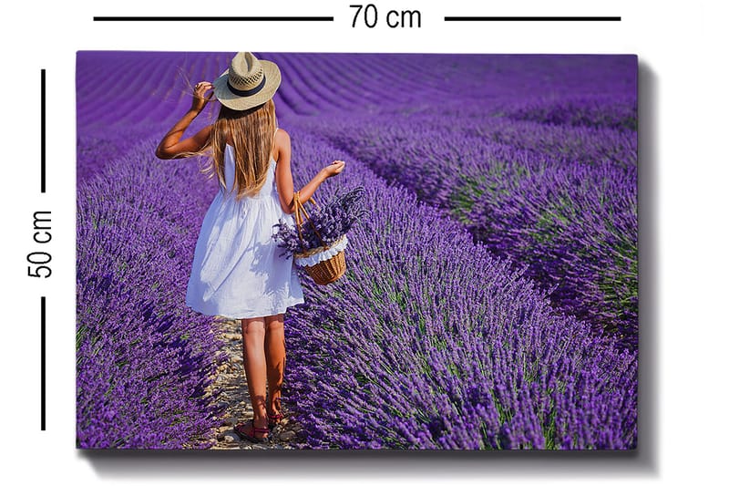 Dekorativ Canvasbilde 50x70 cm - Flerfarget - Innredning - Bilder & kunst - Lerretsbilder