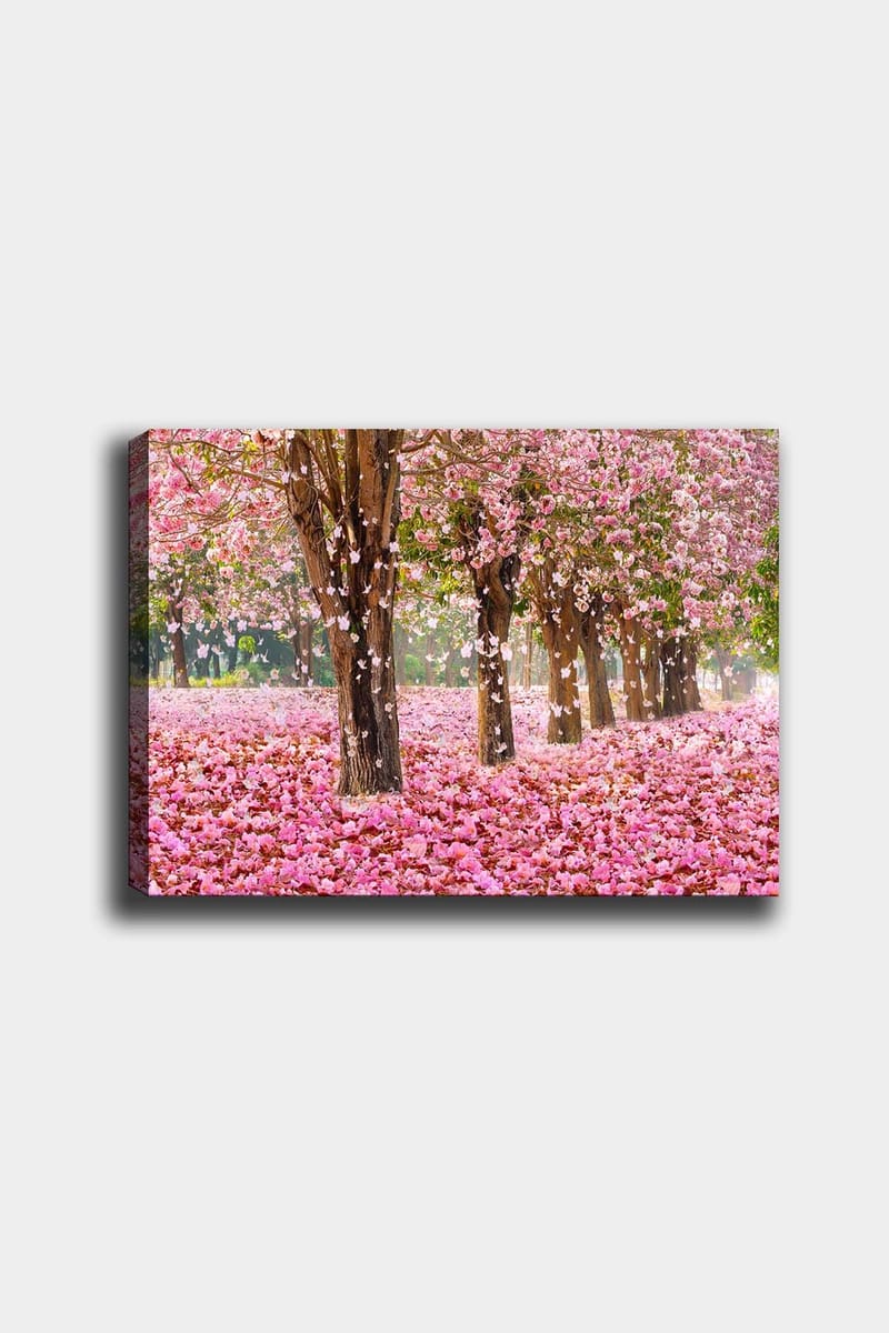 Dekorativ Canvasbilde 50x70 cm - Flerfarget - Innredning - Bilder & kunst - Lerretsbilder