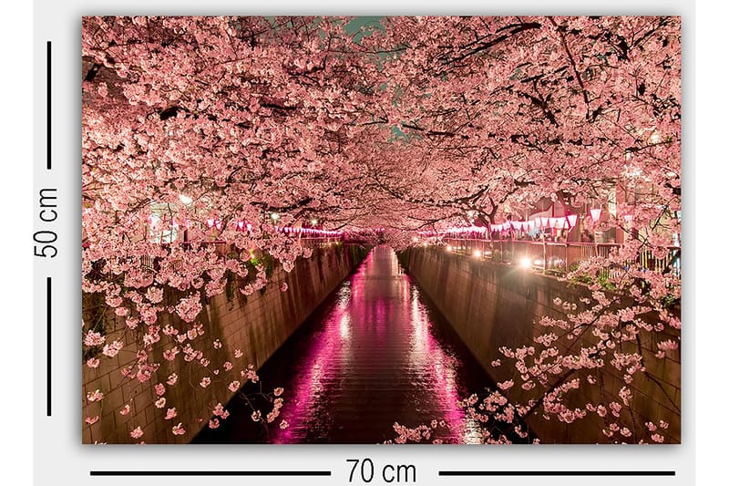 Dekorativ Canvasbilde 50x70 cm - Flerfarget - Innredning - Bilder & kunst - Lerretsbilder