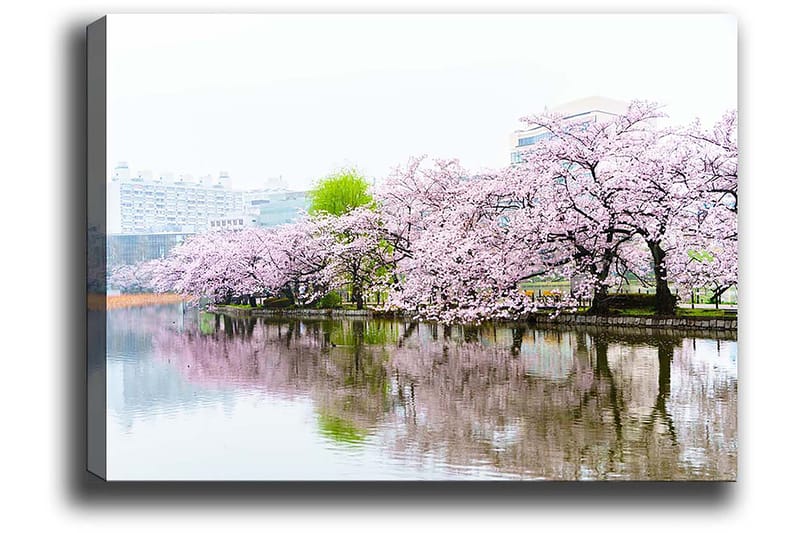 Dekorativ Canvasbilde 50x70 cm - Flerfarget - Innredning - Bilder & kunst - Lerretsbilder