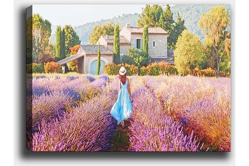 Dekorativ Canvasbilde 50x70 cm - Flerfarget - Innredning - Bilder & kunst - Lerretsbilder