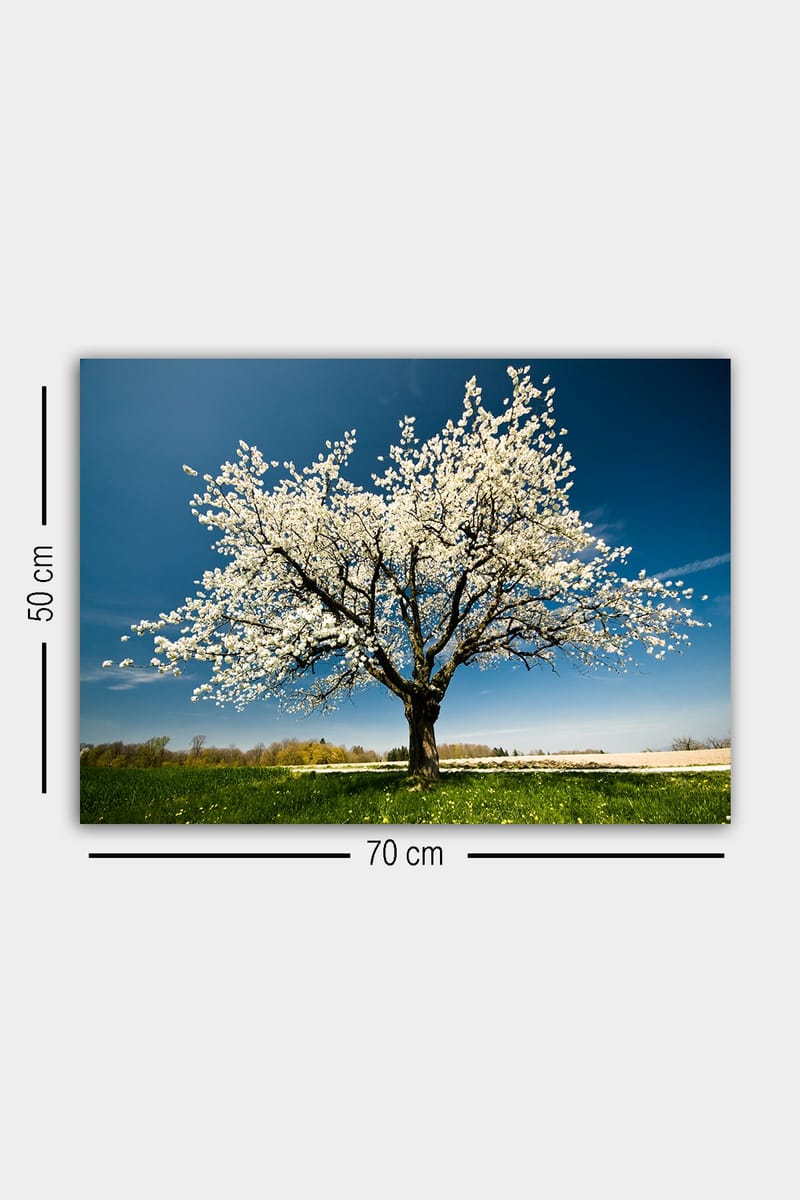 Dekorativ Canvasbilde 50x70 cm - Flerfarget - Innredning - Bilder & kunst - Lerretsbilder