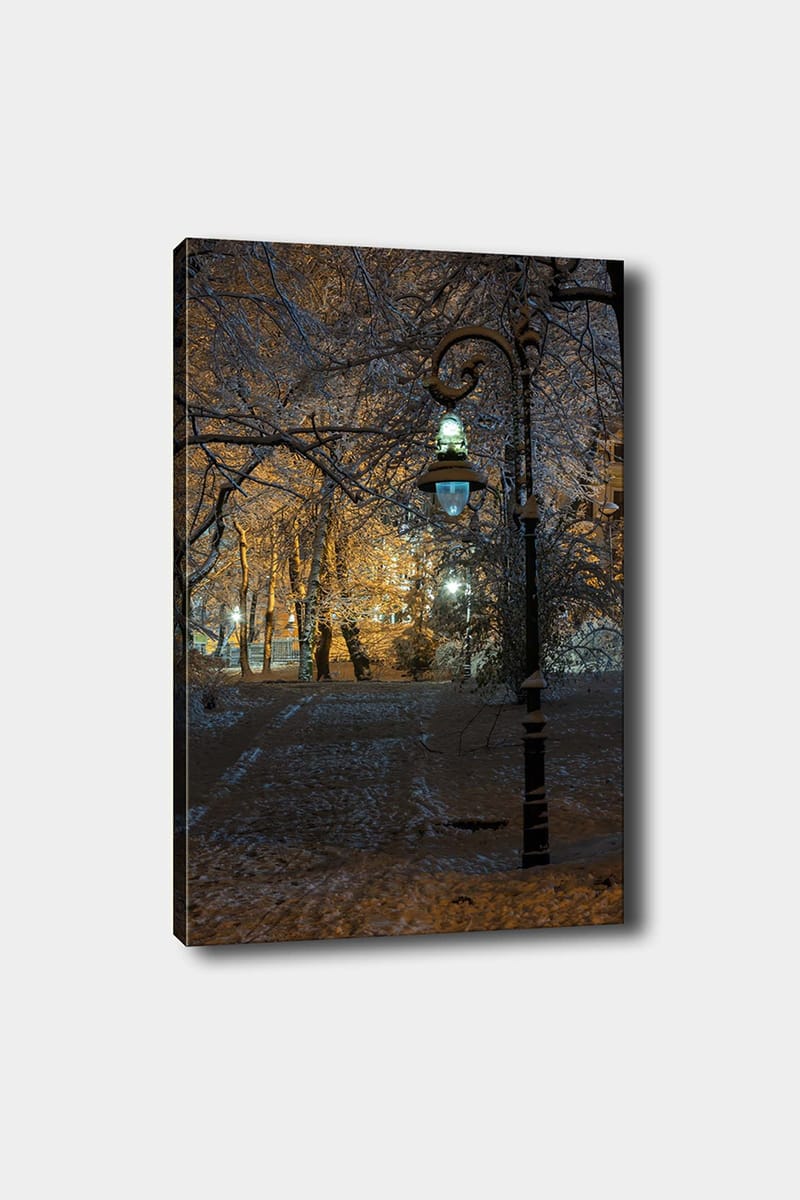 Dekorativ Canvasbilde 50x70 cm - Flerfarget - Innredning - Bilder & kunst - Lerretsbilder