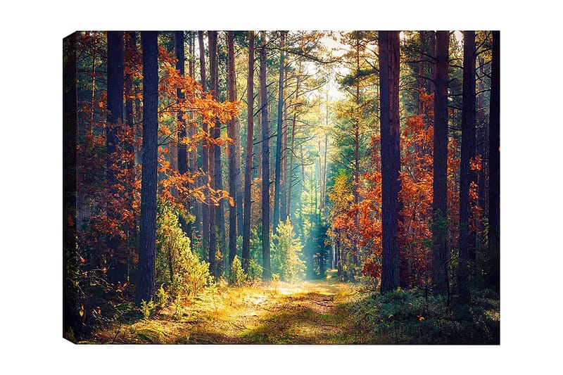 Dekorativ Canvasbilde 50x70 cm - Flerfarget - Innredning - Bilder & kunst - Lerretsbilder