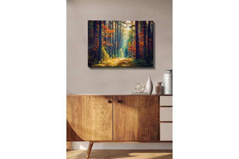 Dekorativ Canvasbilde 50x70 cm - Flerfarget - Innredning - Bilder & kunst - Lerretsbilder