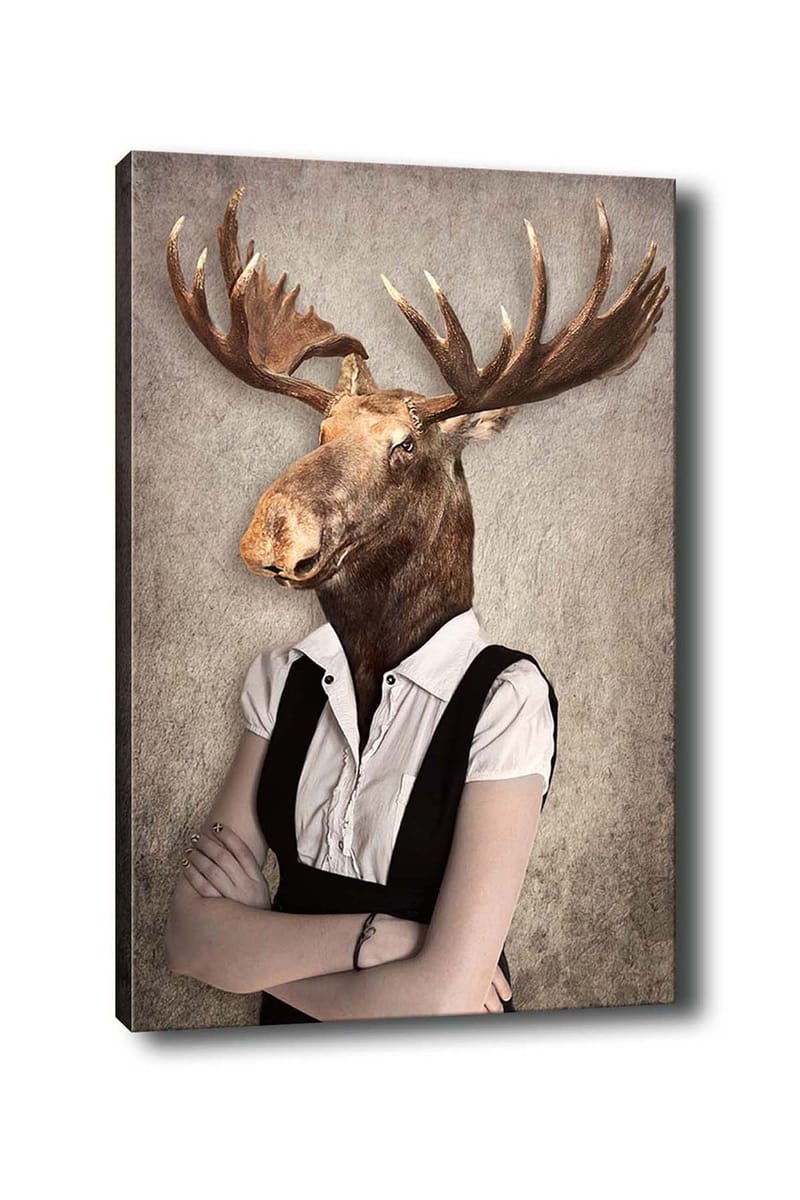 Dekorativ Canvasbilde 50x70 cm - Flerfarget - Innredning - Bilder & kunst - Lerretsbilder