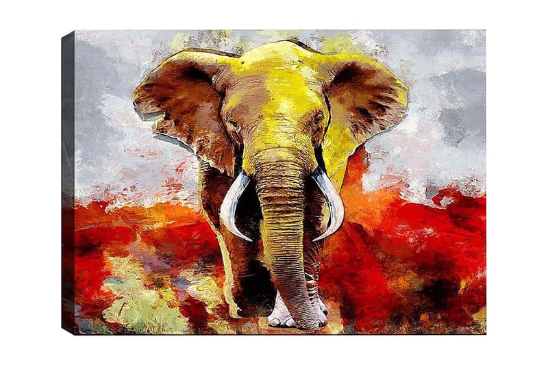 Dekorativ Canvasbilde 50x70 cm - Flerfarget - Innredning - Bilder & kunst - Lerretsbilder