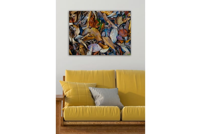 Dekorativ Canvasbilde 50x70 cm - Flerfarget - Innredning - Bilder & kunst - Lerretsbilder