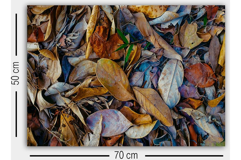 Dekorativ Canvasbilde 50x70 cm - Flerfarget - Innredning - Bilder & kunst - Lerretsbilder
