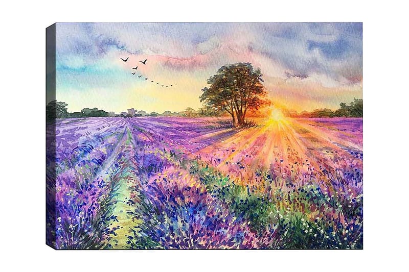 Dekorativ Canvasbilde 50x70 cm - Flerfarget - Innredning - Bilder & kunst - Lerretsbilder