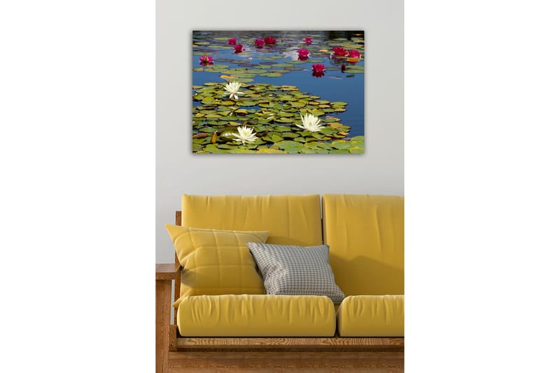Dekorativ Canvasbilde 50x70 cm - Flerfarget - Innredning - Bilder & kunst - Lerretsbilder