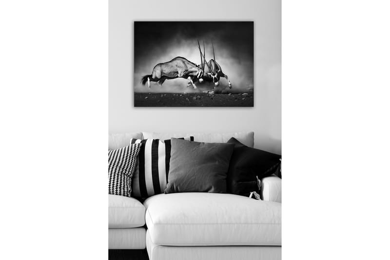 Dekorativ Canvasbilde 50x70 cm - Flerfarget - Innredning - Bilder & kunst - Lerretsbilder