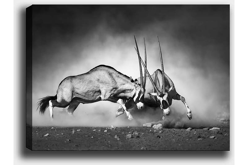 Dekorativ Canvasbilde 50x70 cm - Flerfarget - Innredning - Bilder & kunst - Lerretsbilder