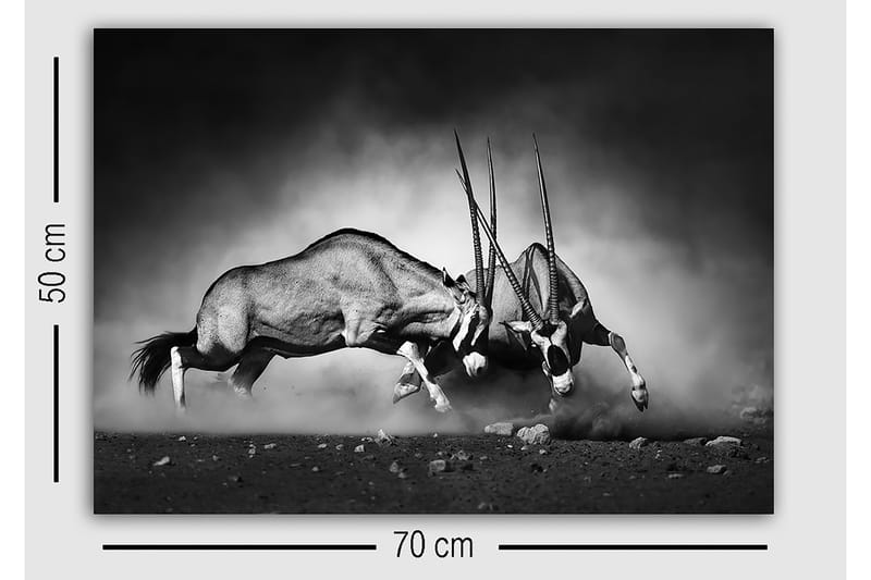 Dekorativ Canvasbilde 50x70 cm - Flerfarget - Innredning - Bilder & kunst - Lerretsbilder
