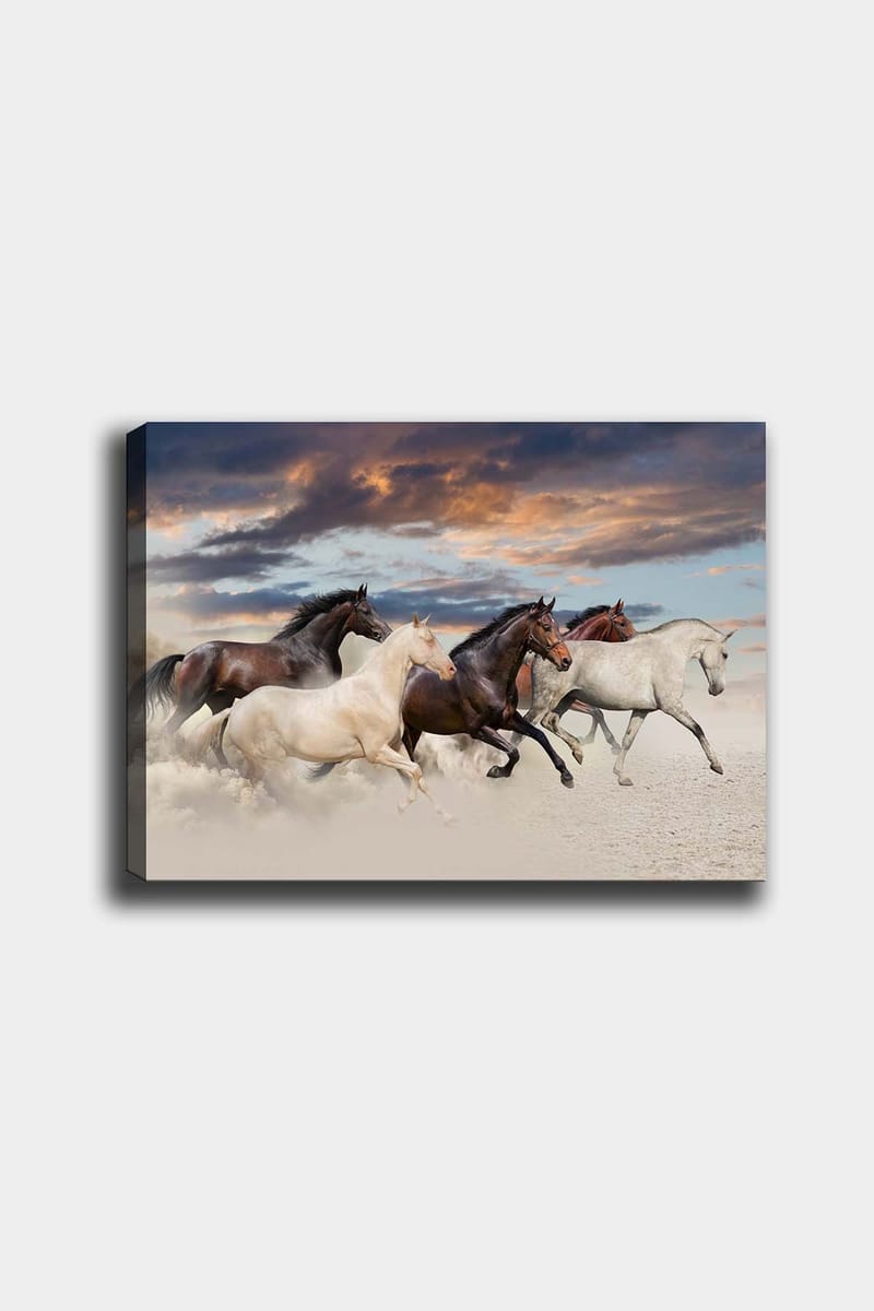 Dekorativ Canvasbilde 50x70 cm - Flerfarget - Innredning - Bilder & kunst - Lerretsbilder