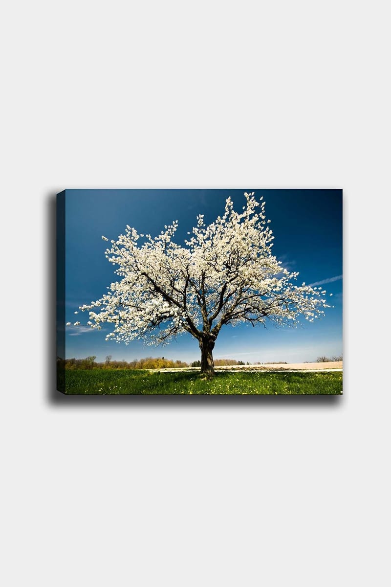 Dekorativ Canvasbilde 50x70 cm - Flerfarget - Innredning - Bilder & kunst - Lerretsbilder