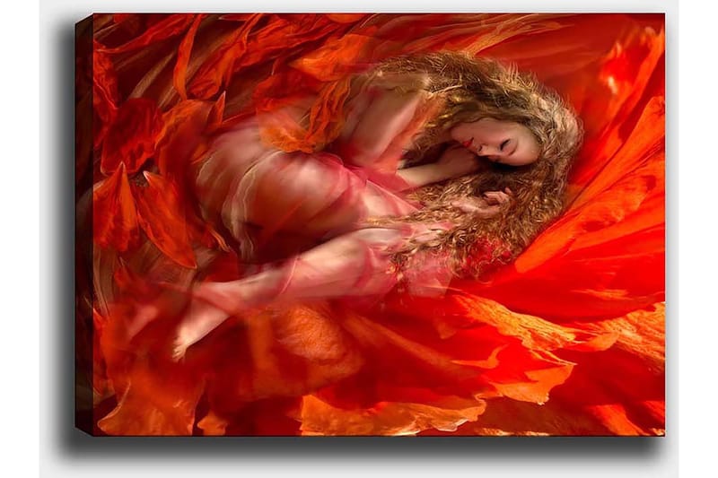 Dekorativ Canvasbilde 50x70 cm - Flerfarget - Innredning - Bilder & kunst - Lerretsbilder