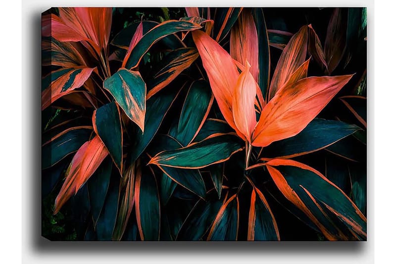 Dekorativ Canvasbilde 50x70 cm - Flerfarget - Innredning - Bilder & kunst - Lerretsbilder