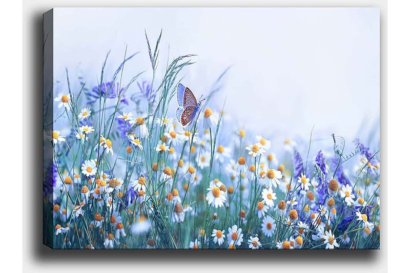 Dekorativ Canvasbilde 50x70 cm - Flerfarget - Innredning - Bilder & kunst - Lerretsbilder