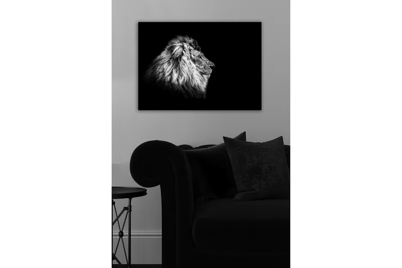 Dekorativ Canvasbilde 50x70 cm, Flerfarget