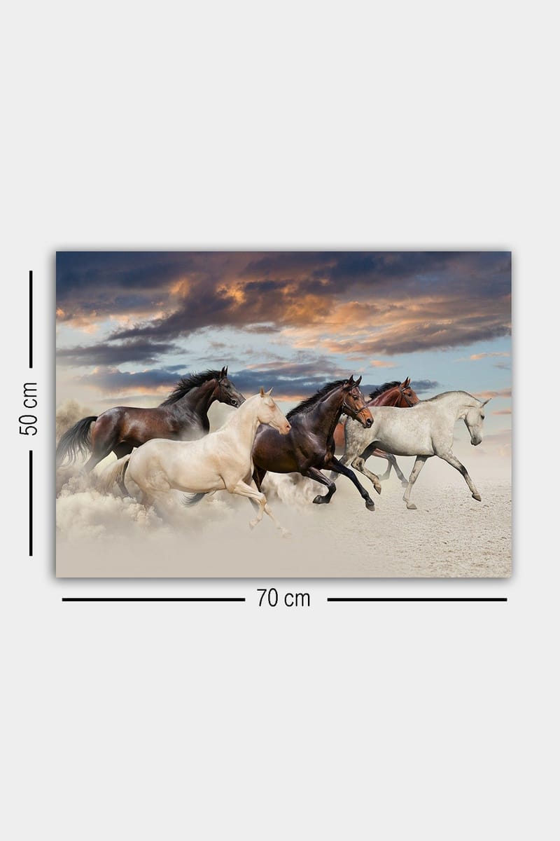 Dekorativ Canvasbilde 50x70 cm - Flerfarget - Innredning - Bilder & kunst - Lerretsbilder