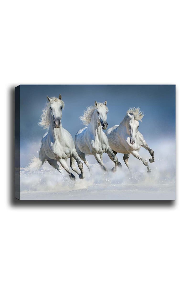 Dekorativ Canvasbilde 50x70 cm, Flerfarget