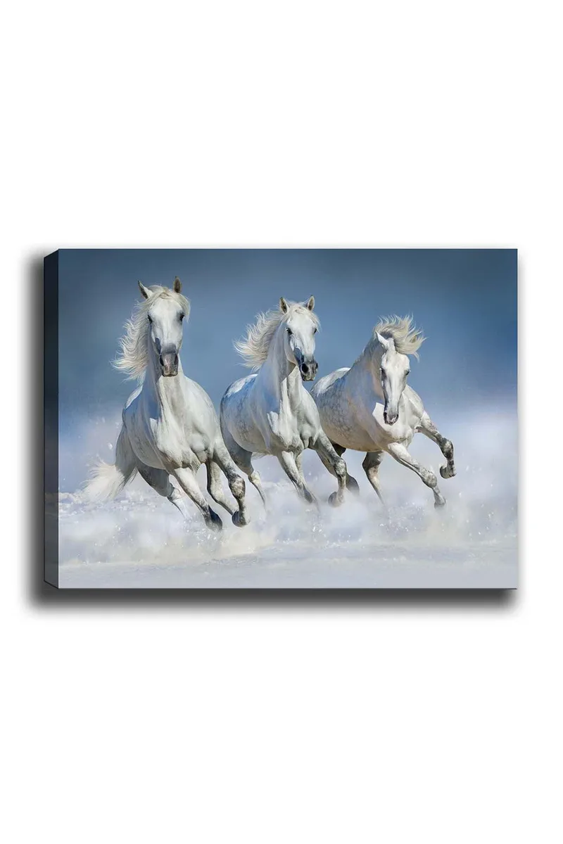 Dekorativ Canvasbilde 50x70 cm, Flerfarget