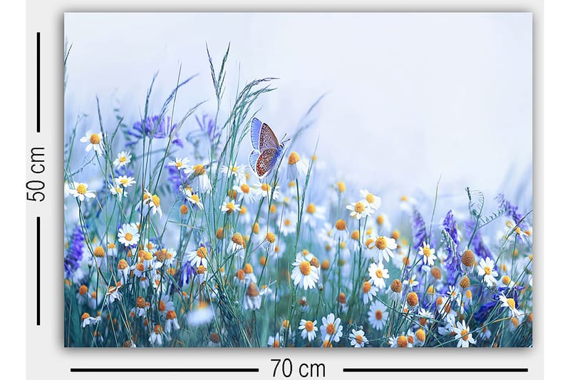 Dekorativ Canvasbilde 50x70 cm - Flerfarget - Innredning - Bilder & kunst - Lerretsbilder