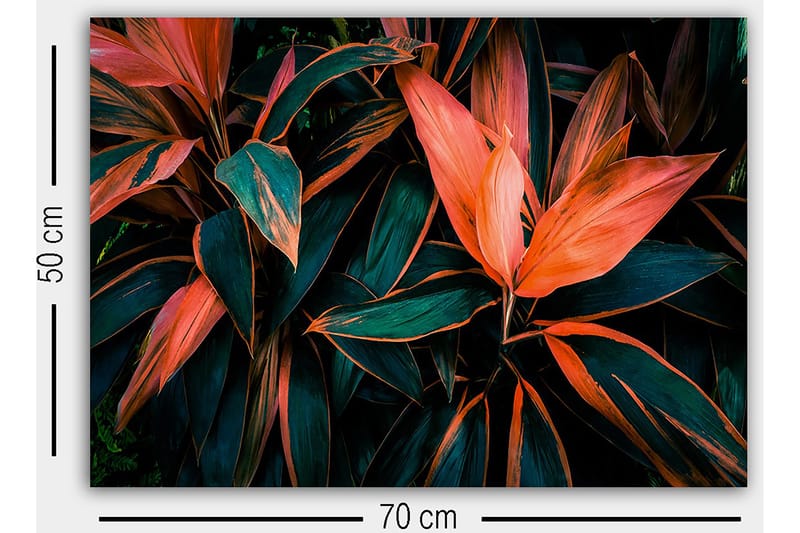 Dekorativ Canvasbilde 50x70 cm - Flerfarget - Innredning - Bilder & kunst - Lerretsbilder