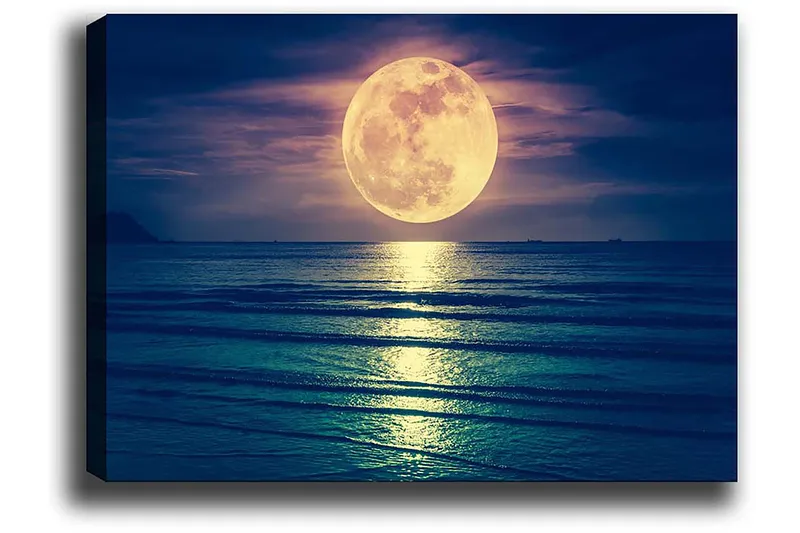 Dekorativ Canvasbilde 50x70 cm - Flerfarget - Innredning - Bilder & kunst - Lerretsbilder