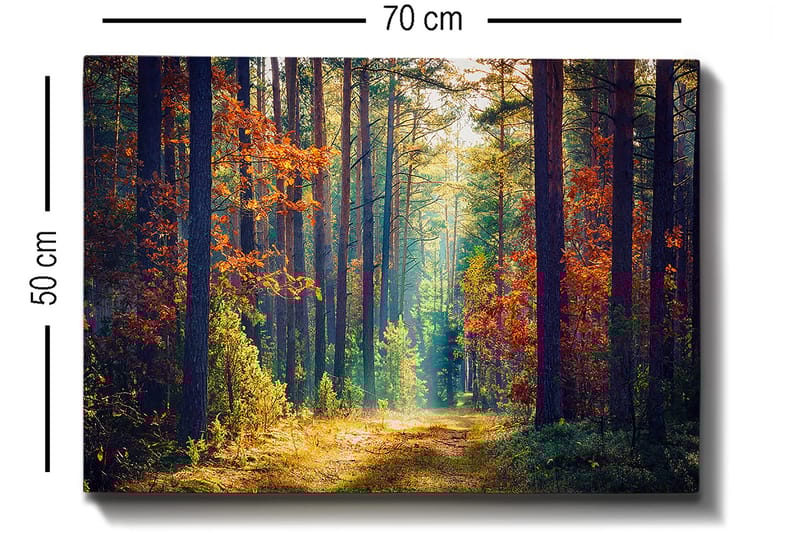 Dekorativ Canvasbilde 50x70 cm - Flerfarget - Innredning - Bilder & kunst - Lerretsbilder