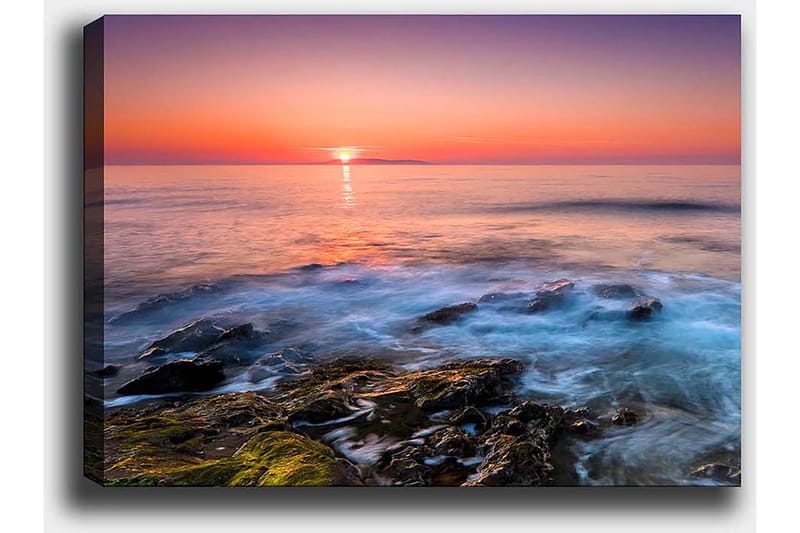 Dekorativ Canvasbilde 50x70 cm - Flerfarget - Innredning - Bilder & kunst - Lerretsbilder