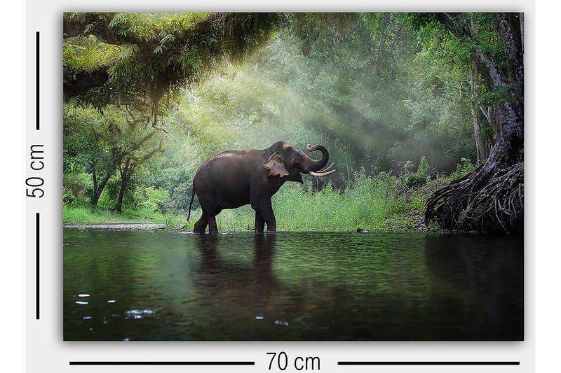 Dekorativ Canvasbilde 50x70 cm - Flerfarget - Innredning - Bilder & kunst - Lerretsbilder